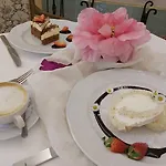Chateau Cihelny فندق كارلوفي فاري