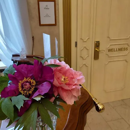 Chateau Cihelny Hotel 4*