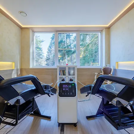 Chateau Cihelny Hotel 4*