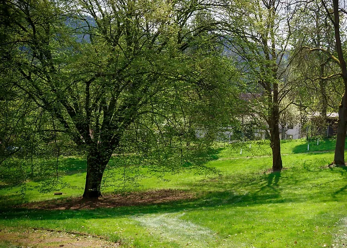Chateau Cihelny Hotel 4*