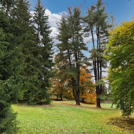Szálloda Chateau Cihelny 4*