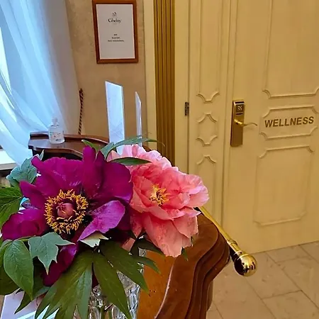 Chateau Cihelny Karlsbad